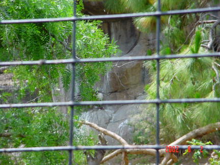 DSC00209