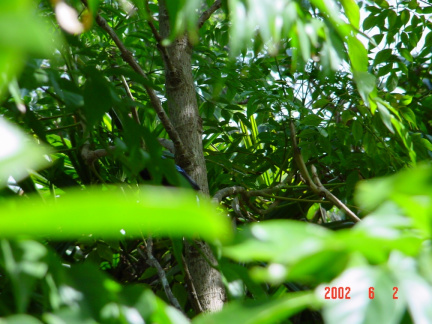 DSC00216