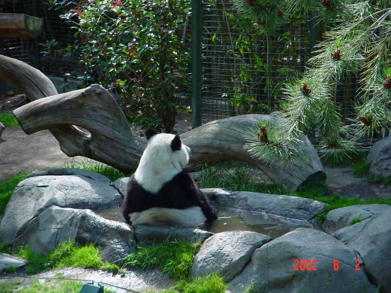 DSC00218.jpg