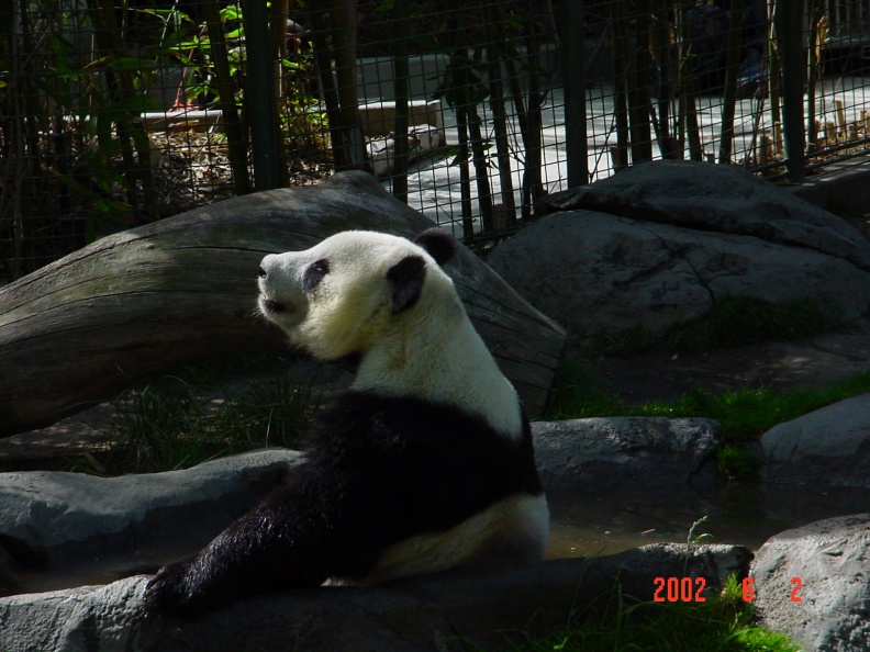 DSC00220.jpg